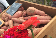 Sweet potatoes and fresh flowers for sale at the Emory Farmers Market