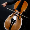 Karen Freer, cello