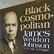 JWJI Series Panel: James Weldon Johnson and Black Cosmopolitanism