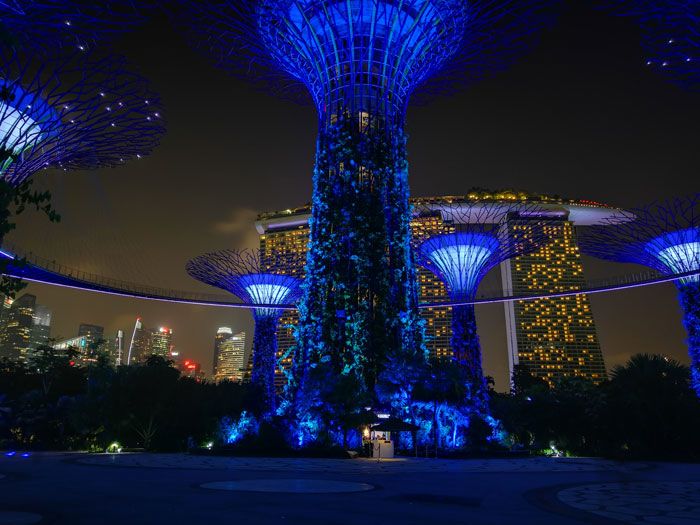 Manmade tree-like towers are illuminated with blue lights in Singapore, with the city skyline in the background.