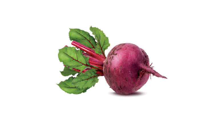 A vegetable on a white background