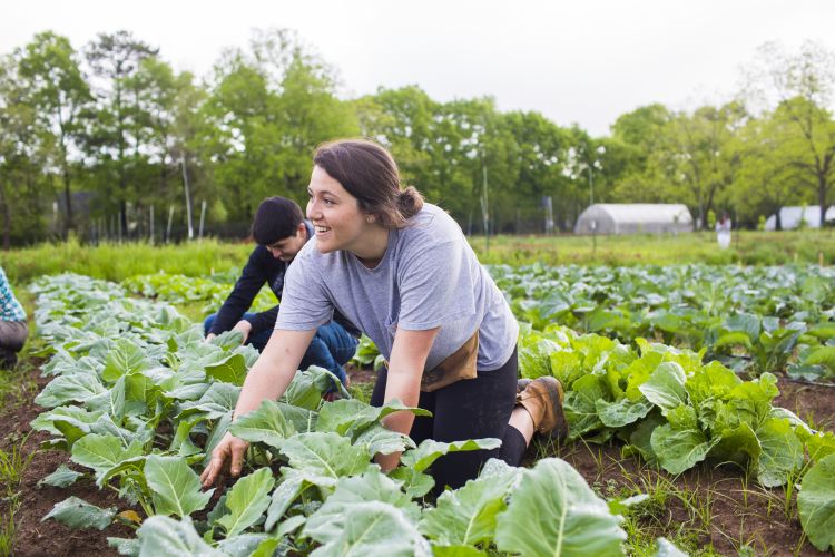Two students work with plants