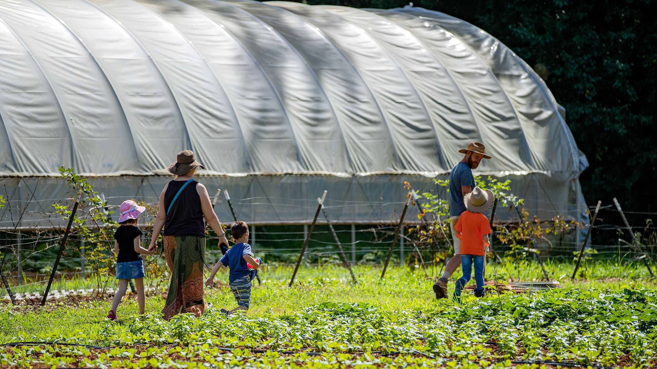 Love is Love Farm with Joe Reynolds and visitors