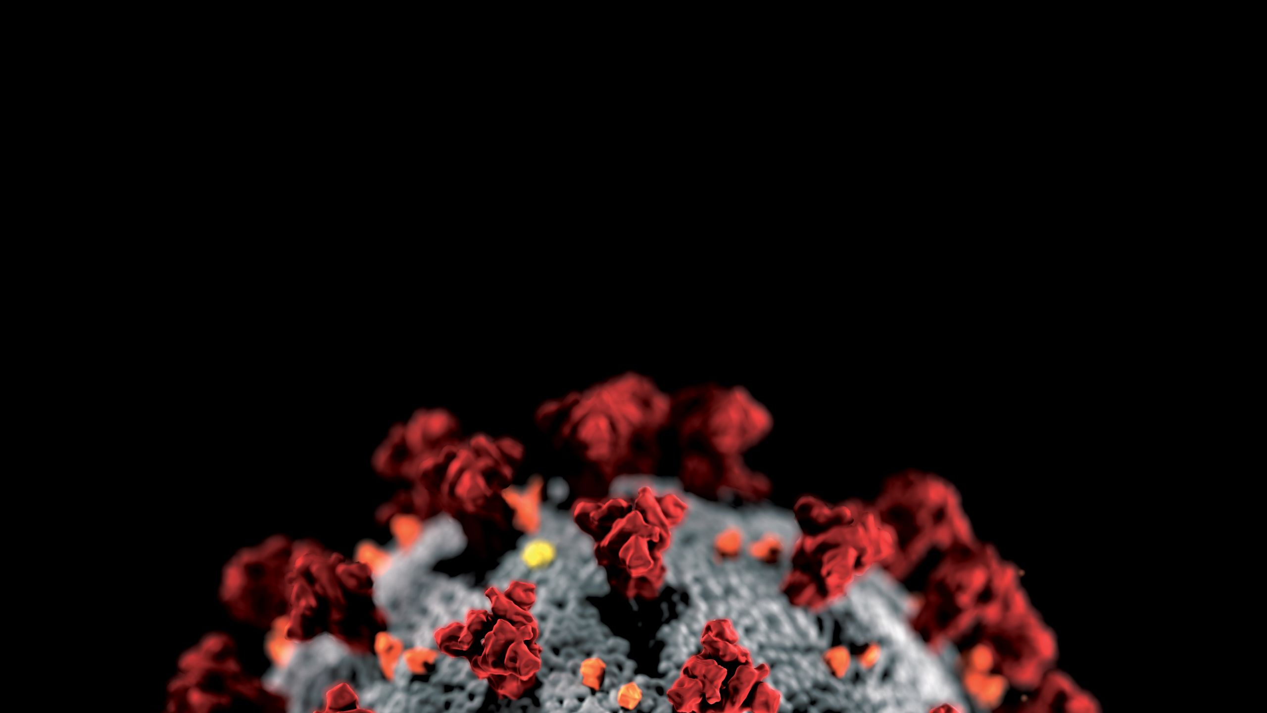 image of a corona virus