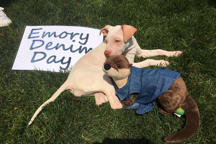 A puppy poses with the Office of Health Promotions' mascot for Emory Denim Day.