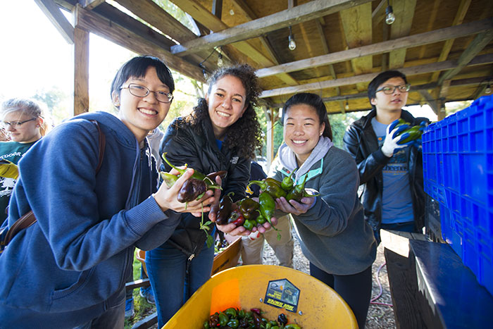Students pick produce at Truly Living Well Center