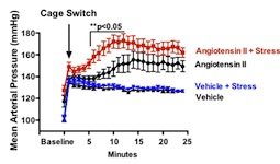 stress blood pressure