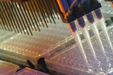Drug development venture links research, business to launch new therapeutics