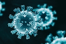 Emory’s antibody study sheds light on COVID-19 immunity
