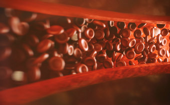 Blood vessel