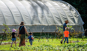 A family works on a farm