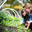 The Educational Garden Project and Planning Your Fall Garden