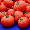 Emory Farmers Market: Tomato Fest