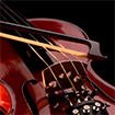 Virtual Concert: Beethoven Violin and Cello Sonatas