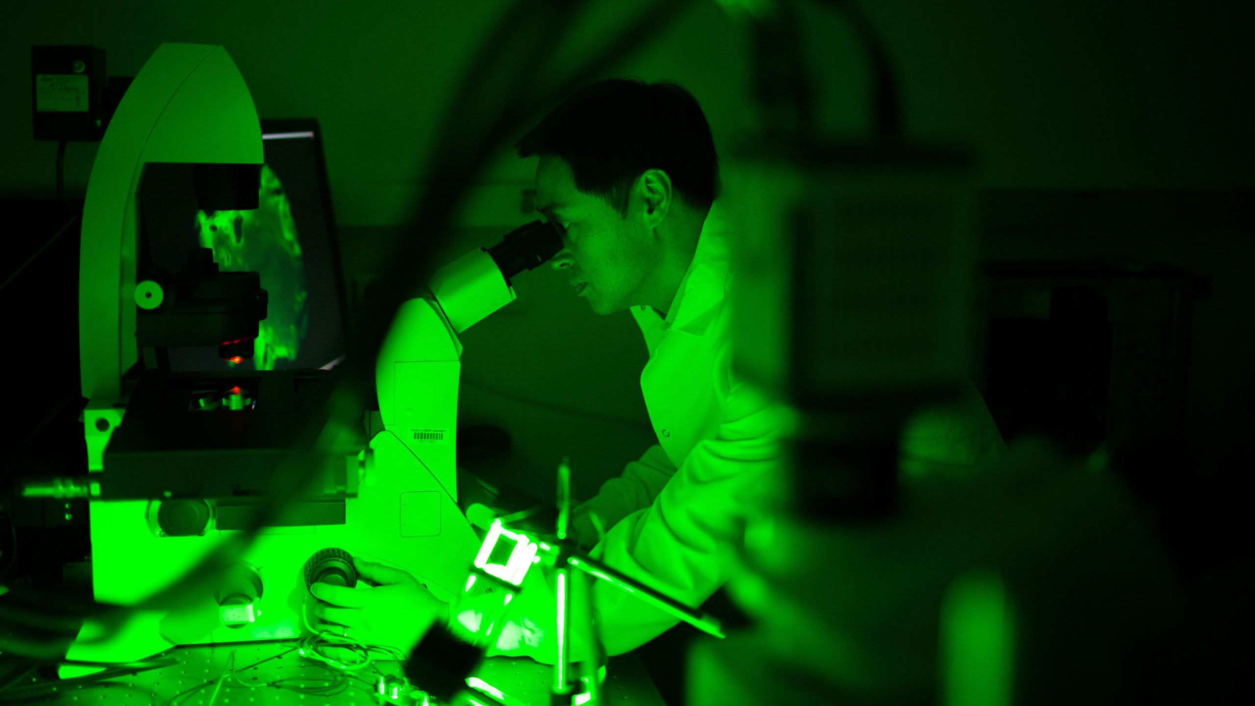 Emory researcher Hee Cheol Cho, associate professor in the School of Medicine, and his staff are developing gene- and cell-based therapies for cardiac arrhythmias.