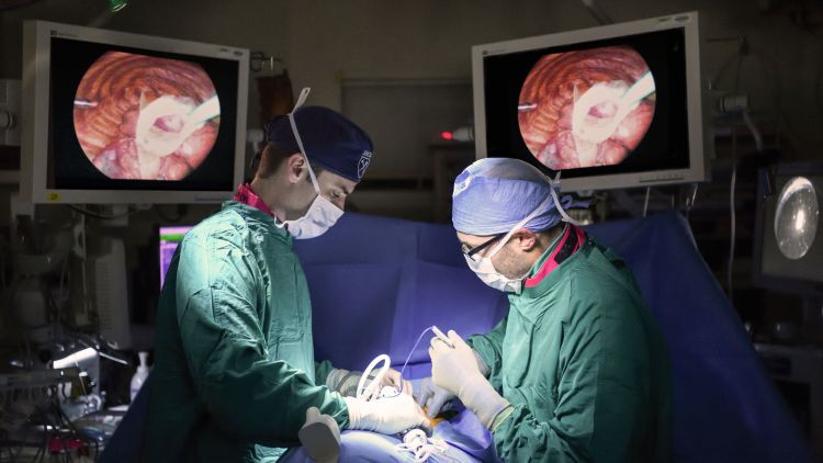 Using minimally invasive surgery, Winship thoracic oncology surgeon Seth Force removes a nodule from a patient's lung so it can be sent to the pathology lab, where a biopsy can be performed. Photo by Jack Kearse.