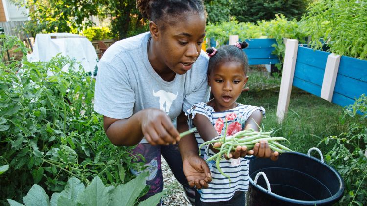 Rayonna Thompson and her daughter work in their community garden in Atlanta's Westside neighborhood. The garden is part of a project supported by Emory and the HERCULES community grant.