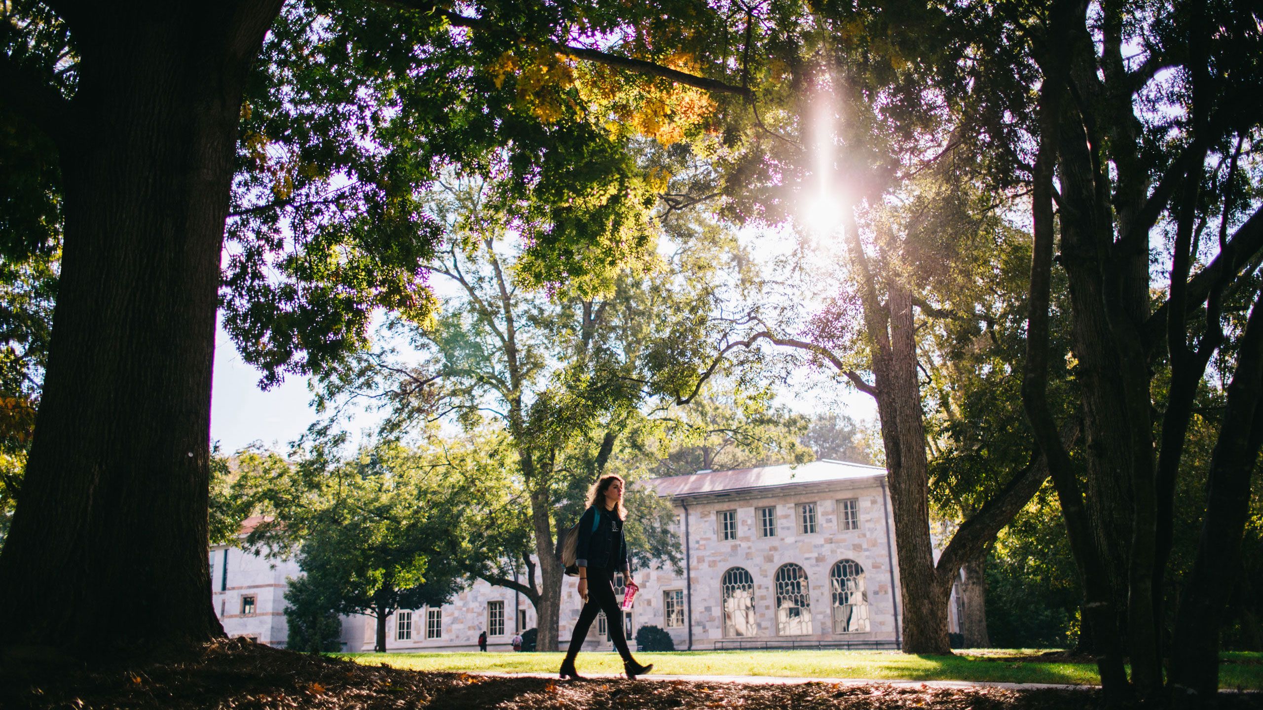 A student walks across the Emory Quad as sunlight streams through the trees.
