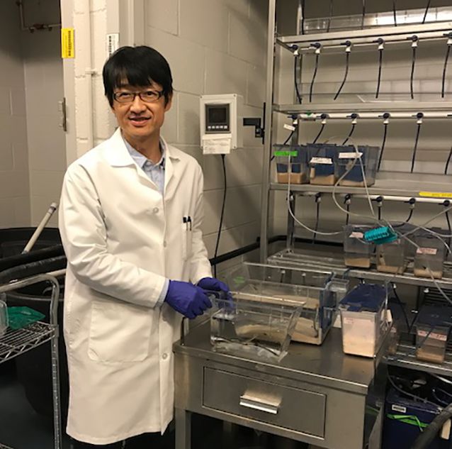 Masa Hirano stands with lamprey tank in Max Cooper's lab.