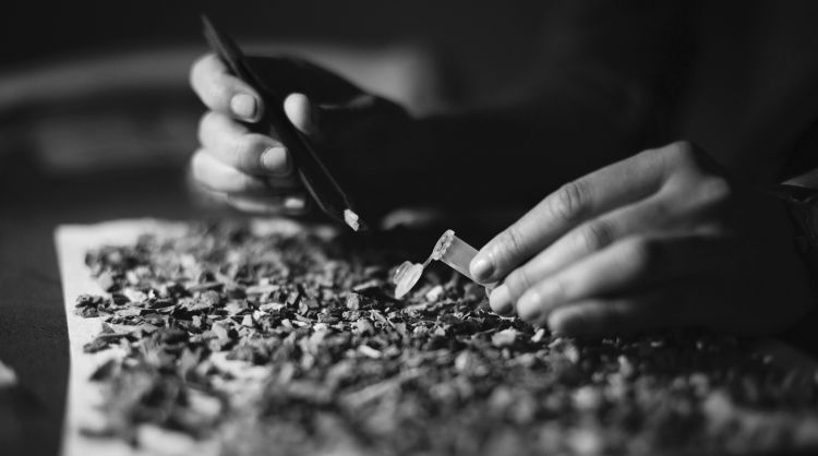 A student holds tweezers in one hand and a vial in the other as she picks up a fragment from hundreds spread out on table.