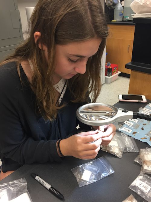 Student Alexa Rome sits at a lab counter and looks through a magnifying class at a fragment she is holding.