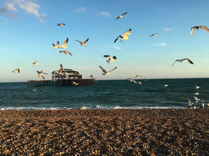 A flock of seagulls takes flight from a beach in England.