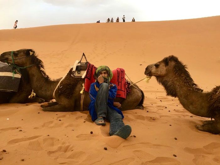 A man wearing jeans and head scarf leans against a saddled camel in the desert in Morocco.