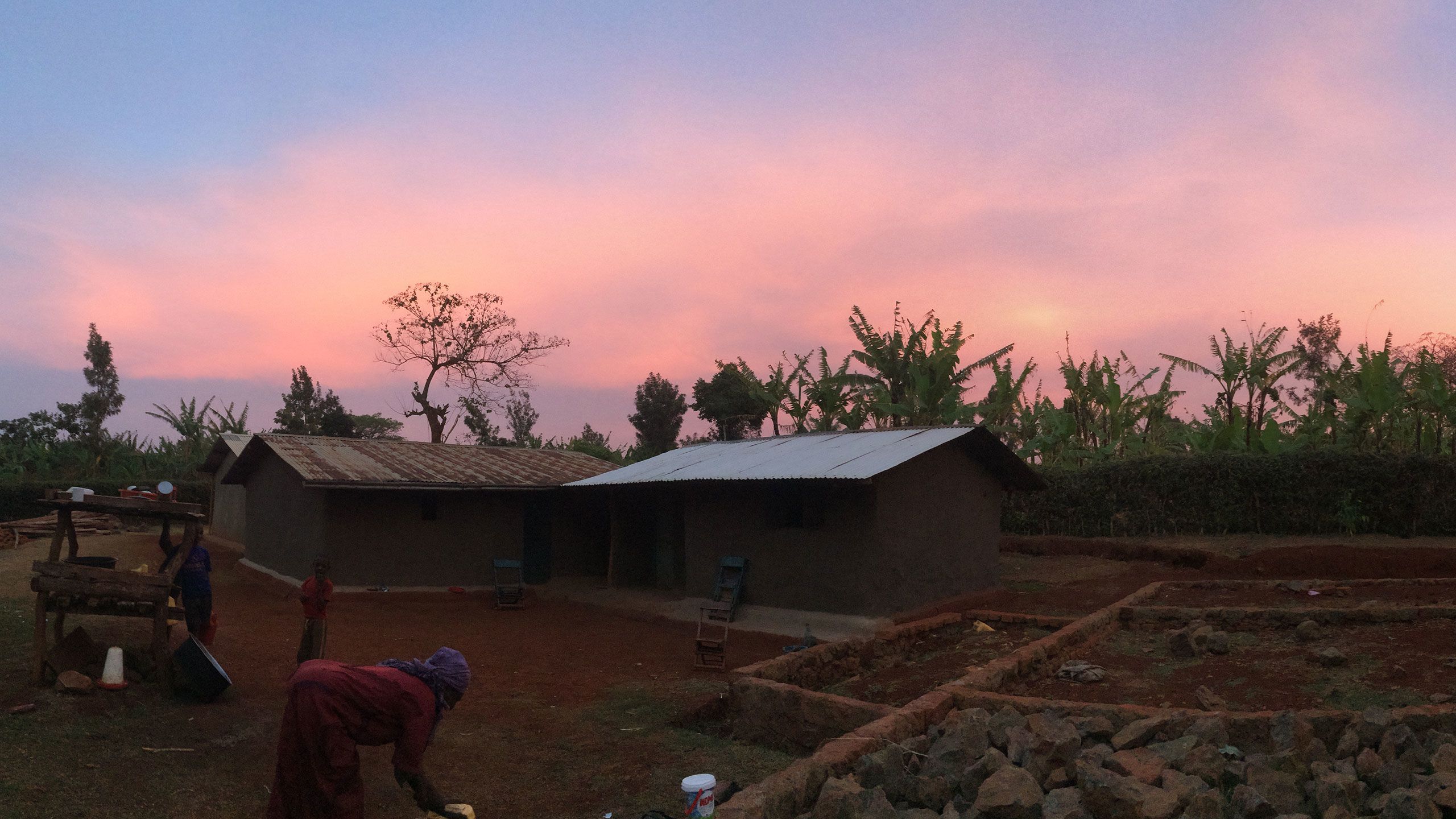 A woman works in a garden in Uganda as the sun sets.