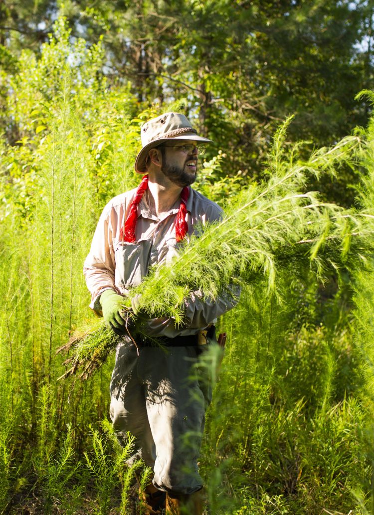 James Lyle carries an armload of tall grasses as he walks trhough the forest