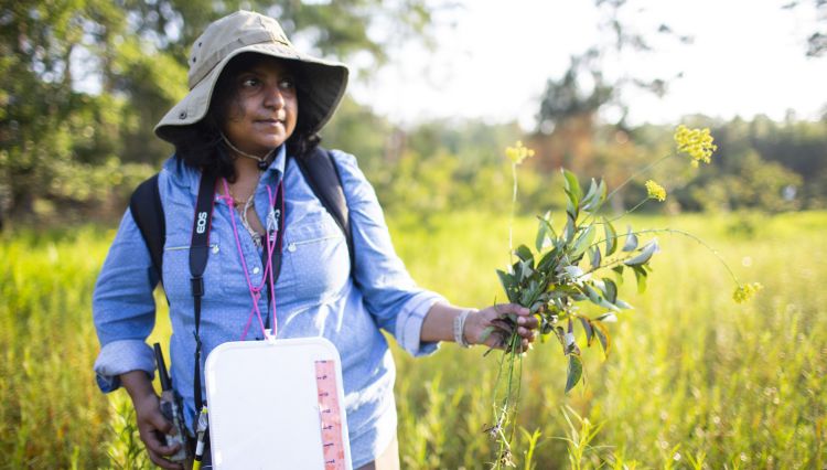 Tharangamala Samarakoon wears a hat and carries a clipboad and camera as she holds plants in the woods