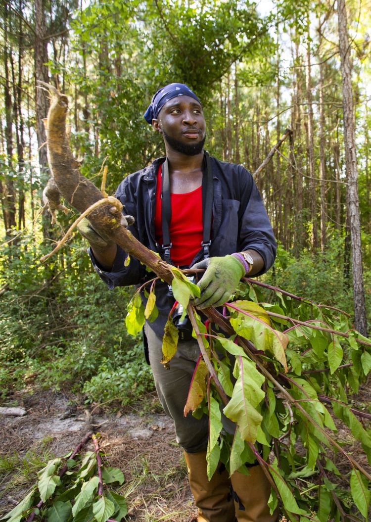 Afam Maduka walks throught the forest carrying a tree limb