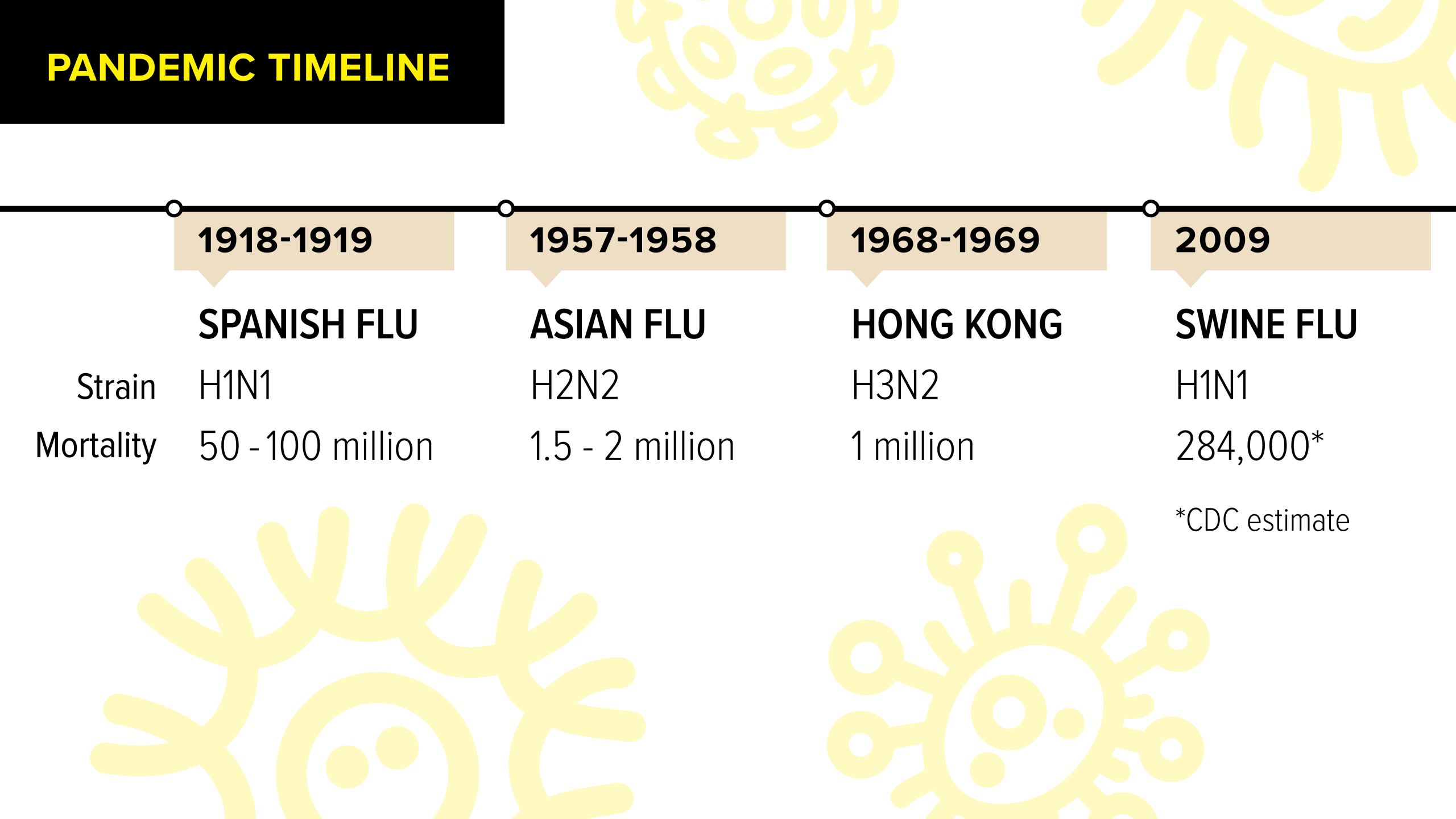 Preparing for the next flu pandemic