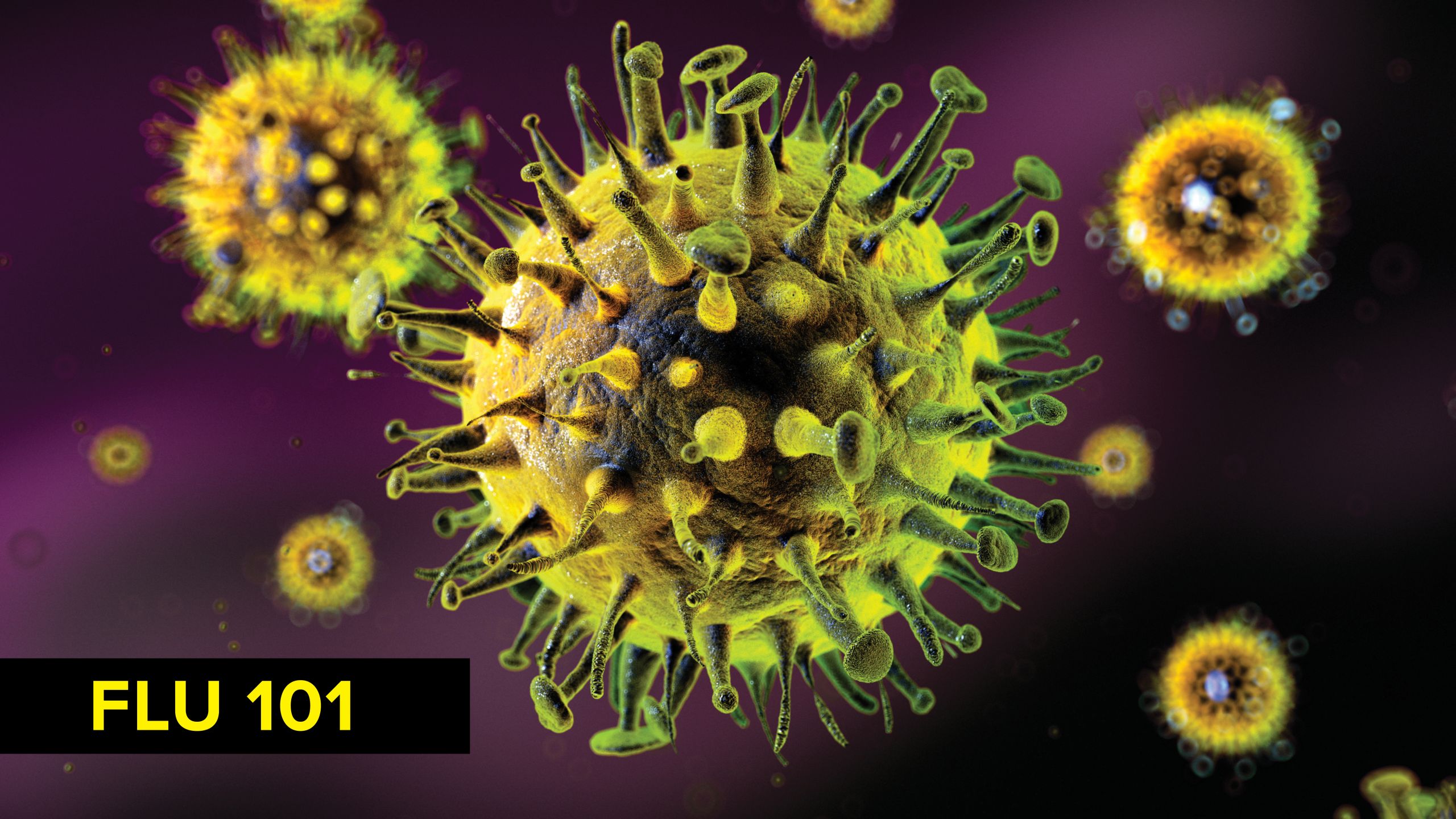Биология 8 вирусы. Коронавирус биология 5 класс. Вирус гриппа. Биологические вирусы. Вирусы картинки.