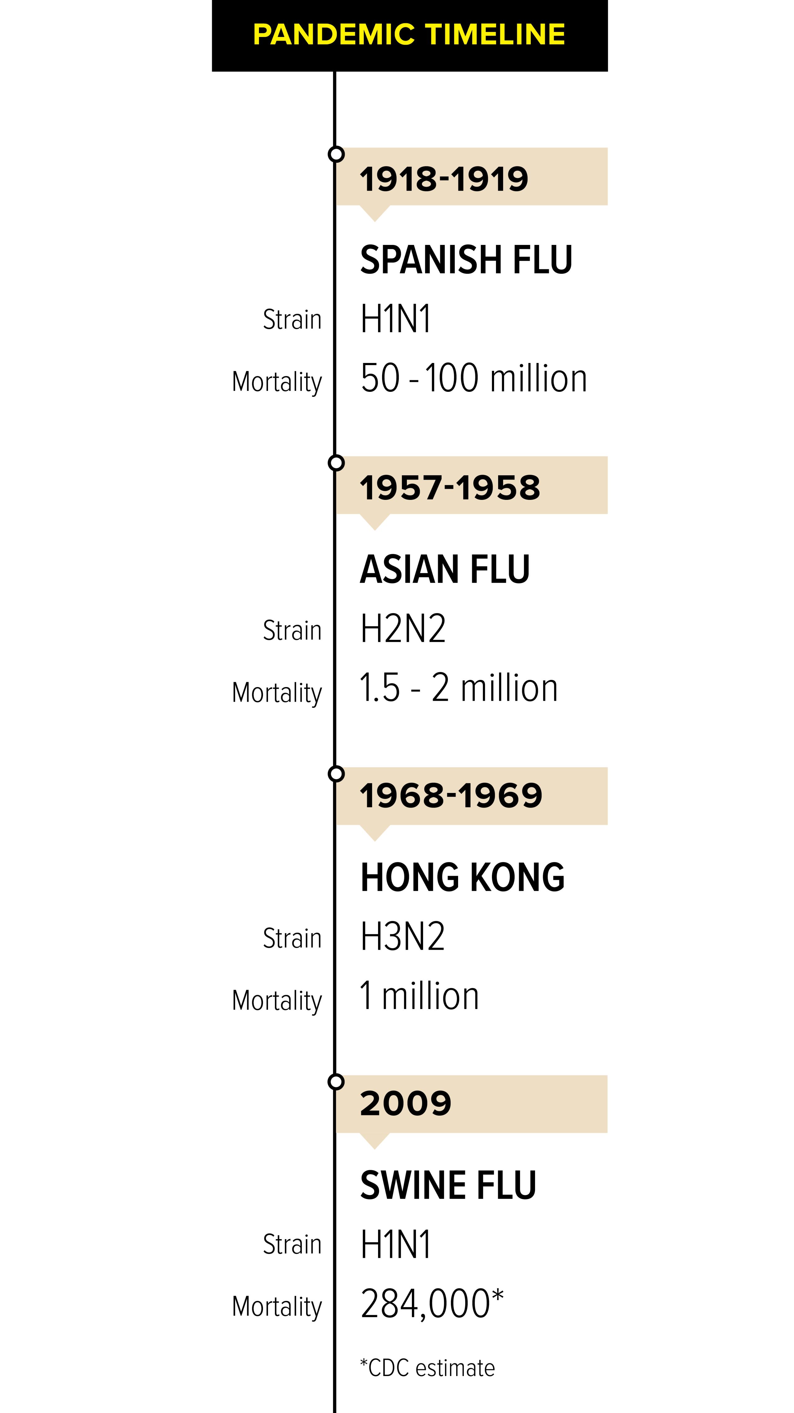 Preparing for the next flu pandemic