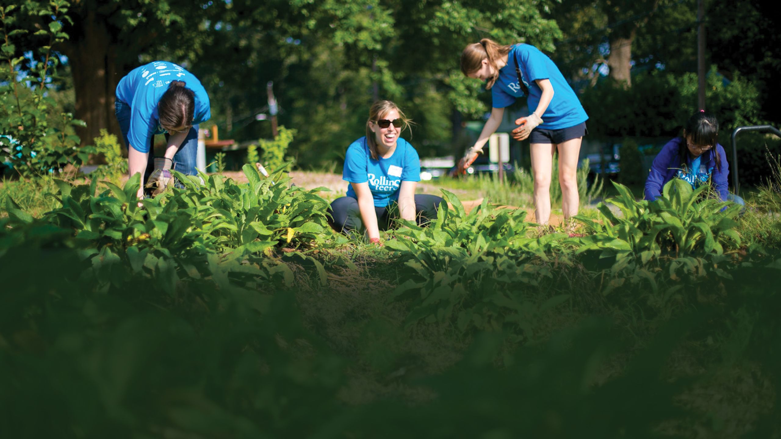 2015 Rollin-teer doing lawncare