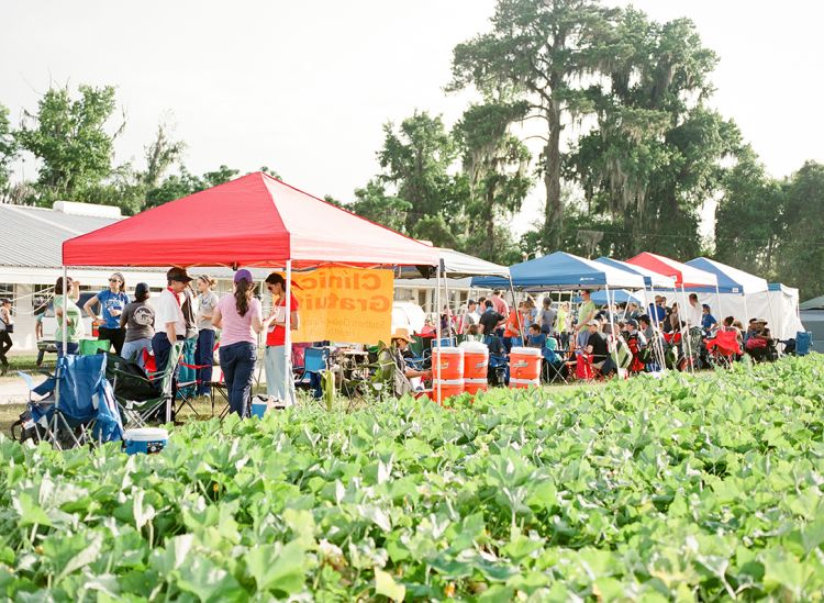 Emory students from the School of Medicine's Physicians Assistant (PA) Program volunteer in a field