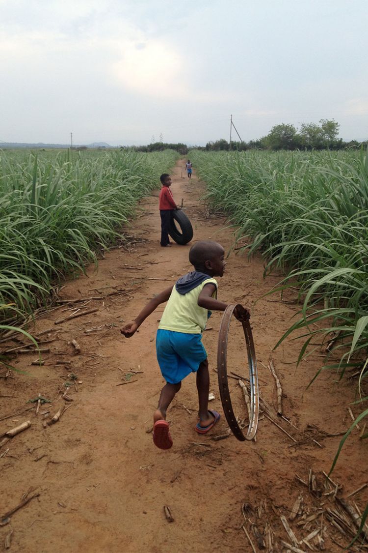 Young boys play with tires on a dirt path with green fields on each side.