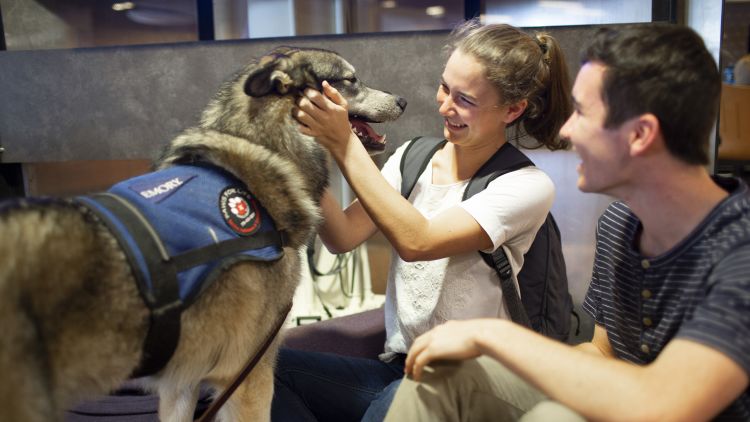 Two Emory students pet a therapy dog during finals week