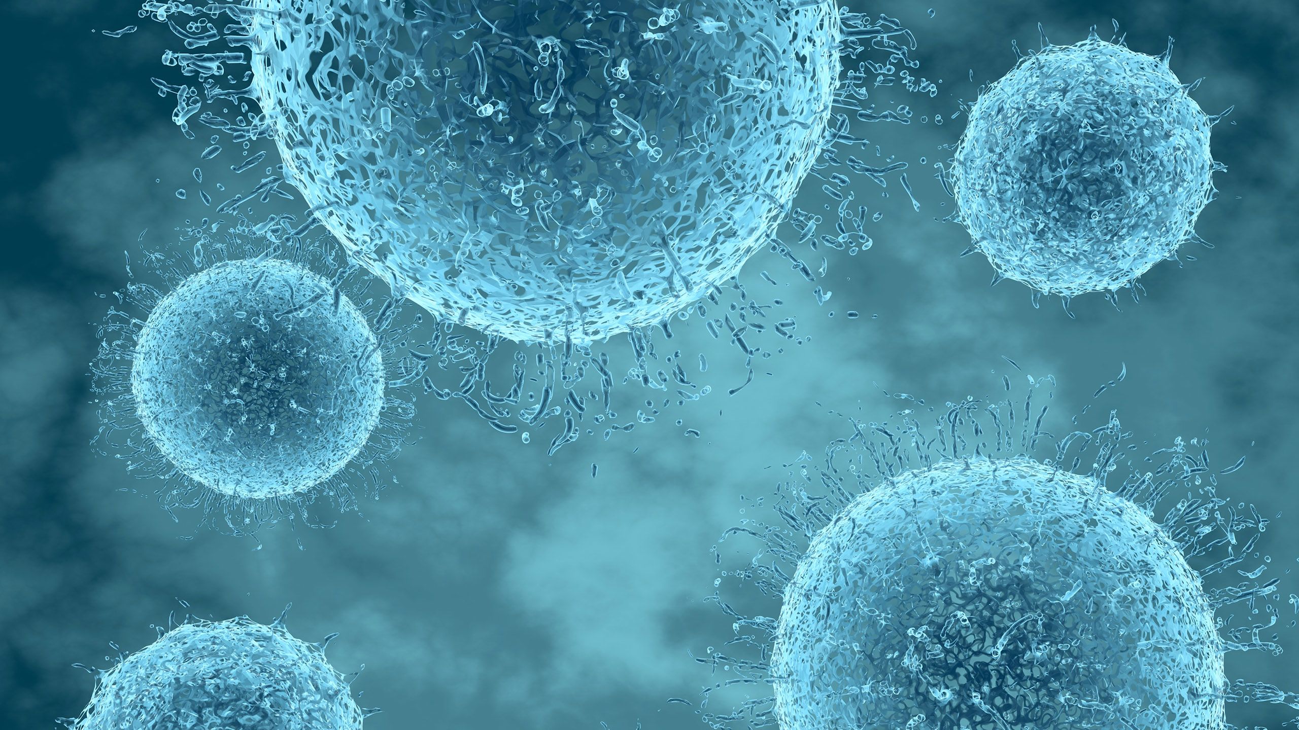 Flu virus