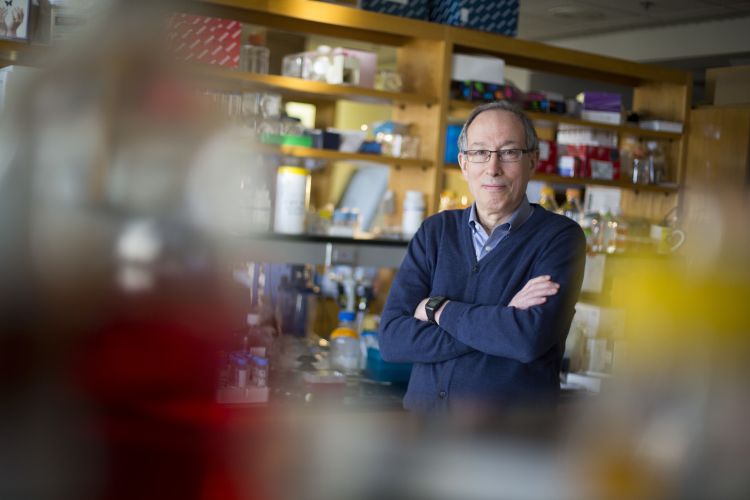 Walter Orenstein standing in a research lab.