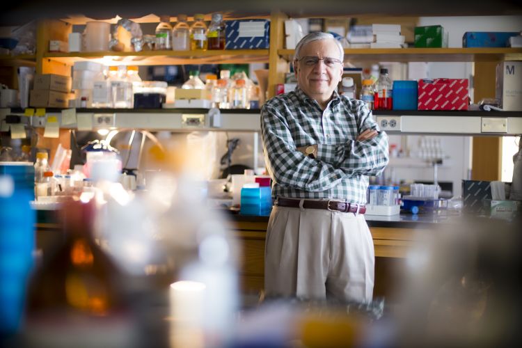 Researcher Rafi Ahmed standing in a lab surrounded by equipment.