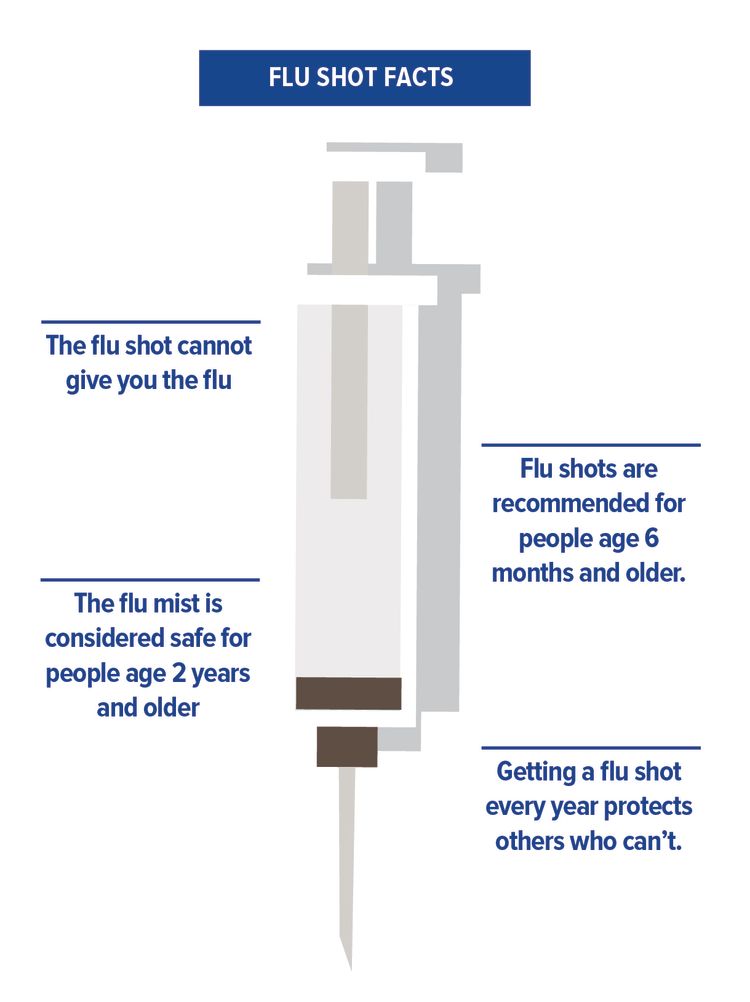 Illustration of vaccine needle with fact that getting a flu shot every year protects others who can't.