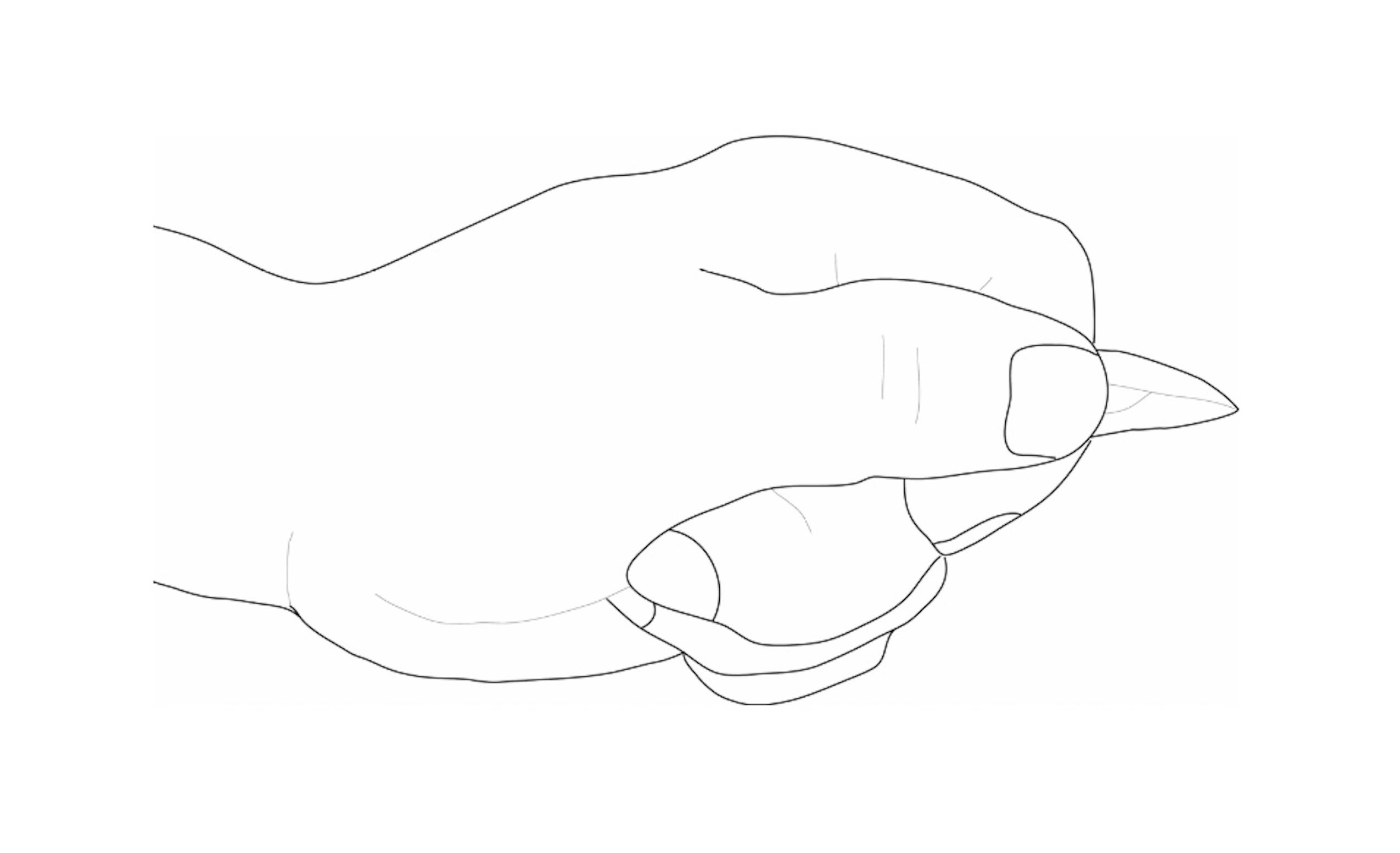 Drawing of a human hand.