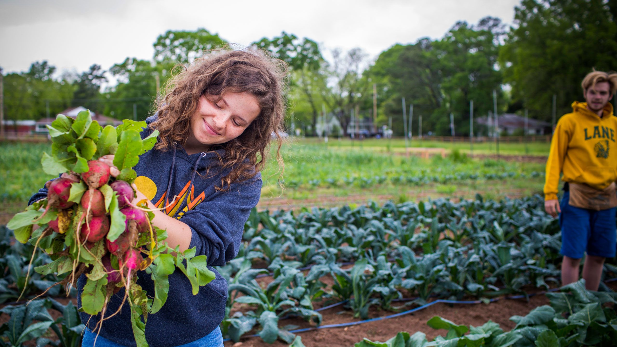 A student holds up radishes harvested at the Oxford organic farm.