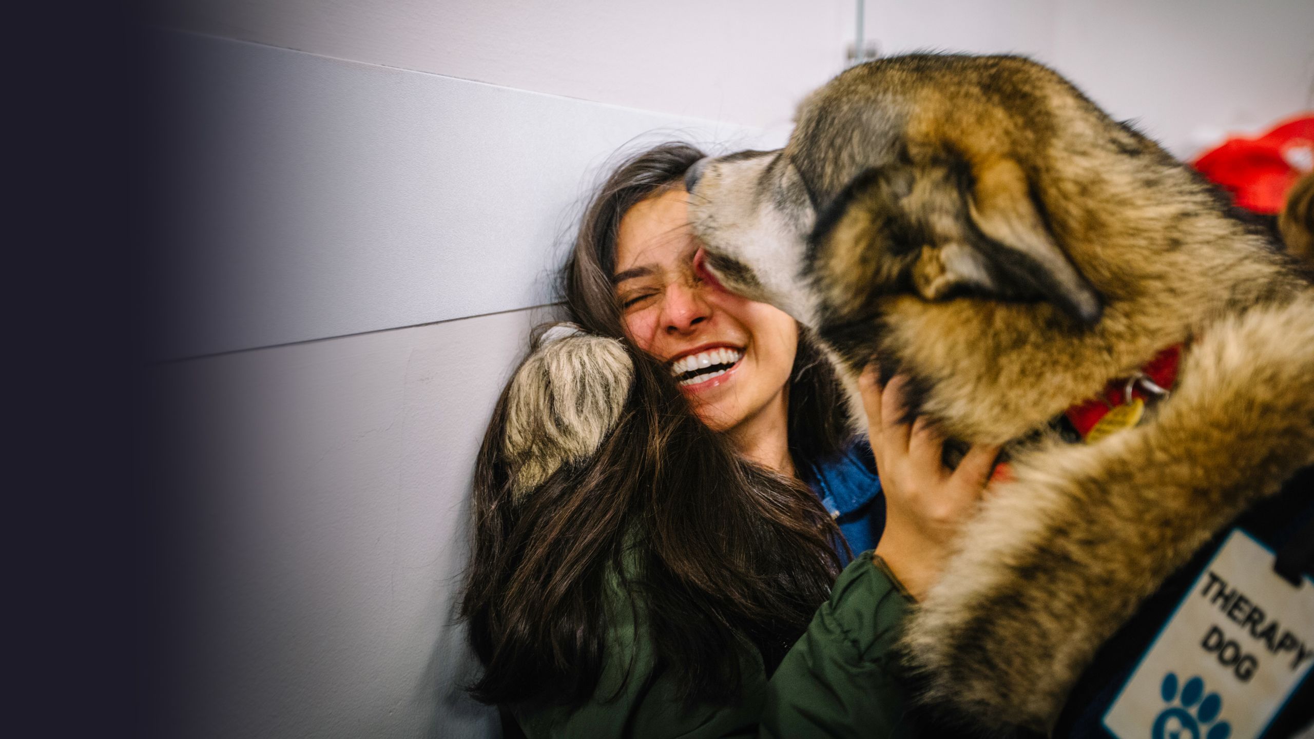 Finn elicits laughter when he licks a student's face.