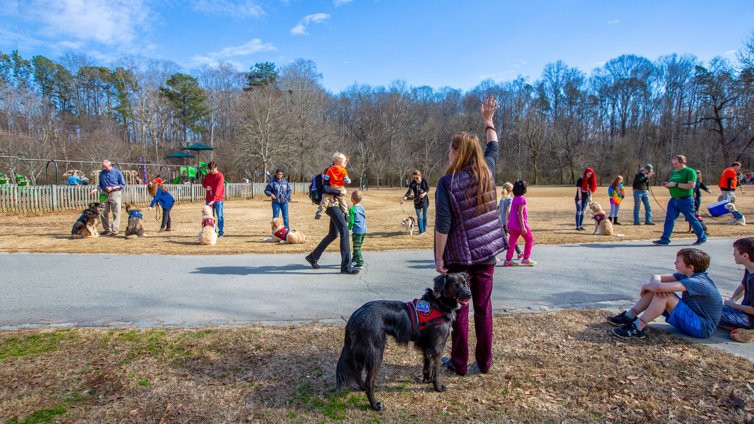 Portrait of Beowulf, Finn, owners, and other owners and therapy dogs in training