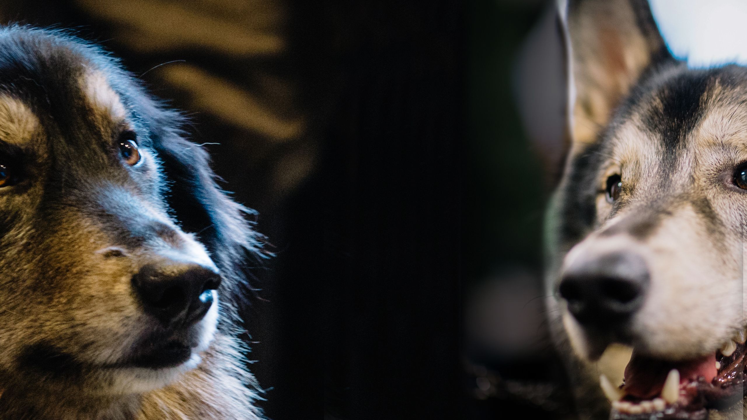 Portrait of Beowulf and Finn