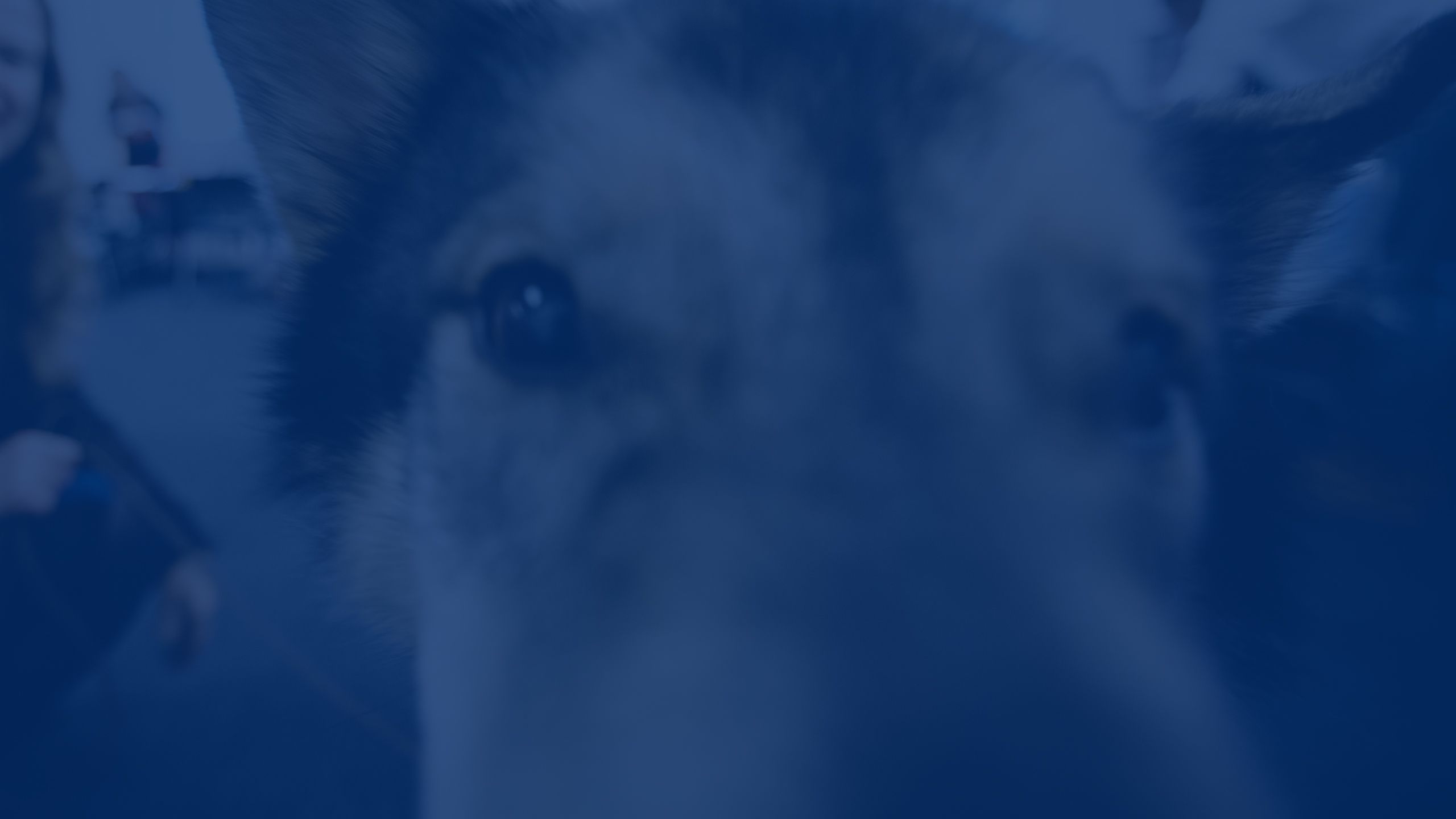 Close up portrait of Finn's eyes