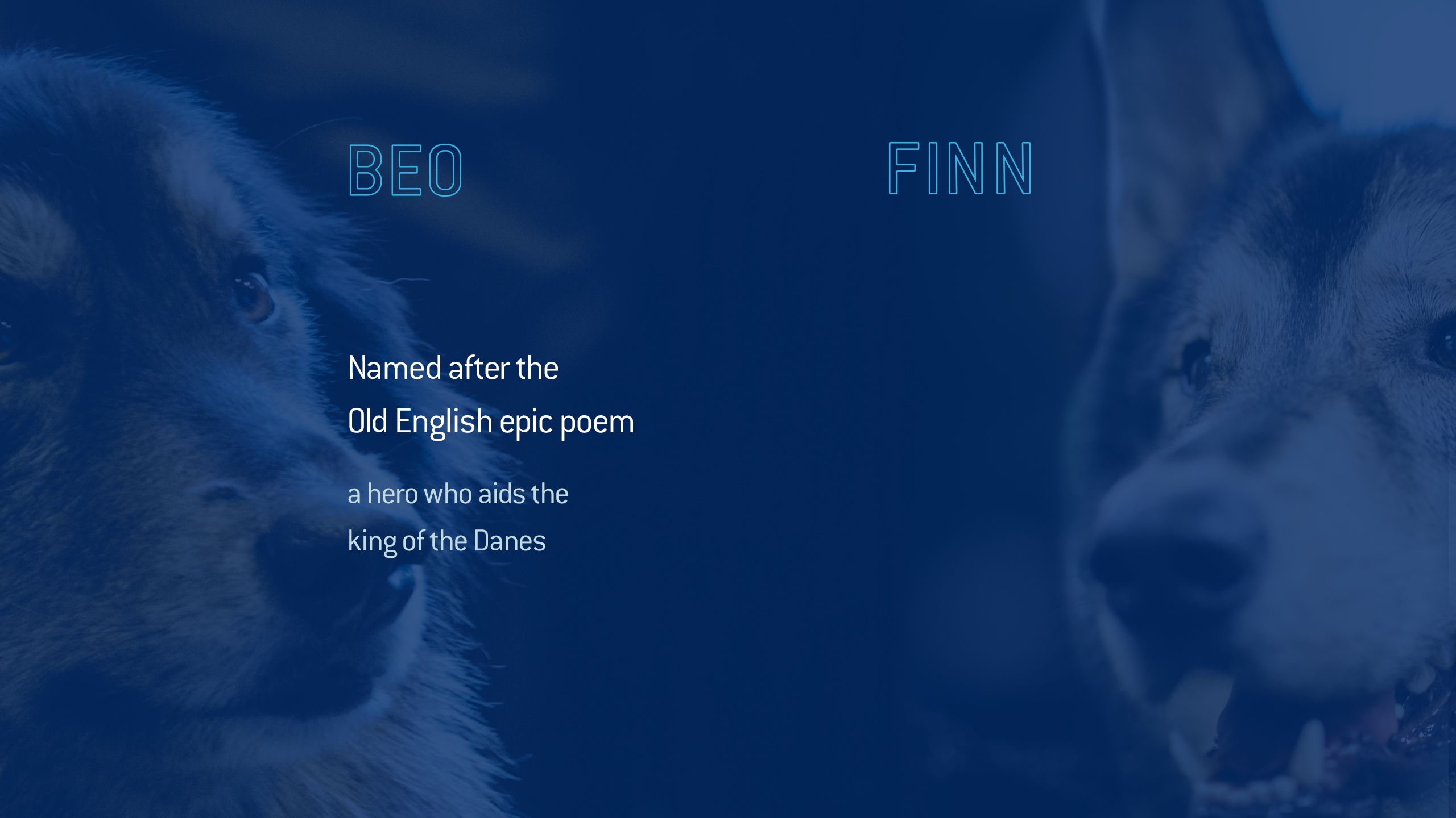 Beowulf names after the Old English epic poem a hero who aids the king of the Danes