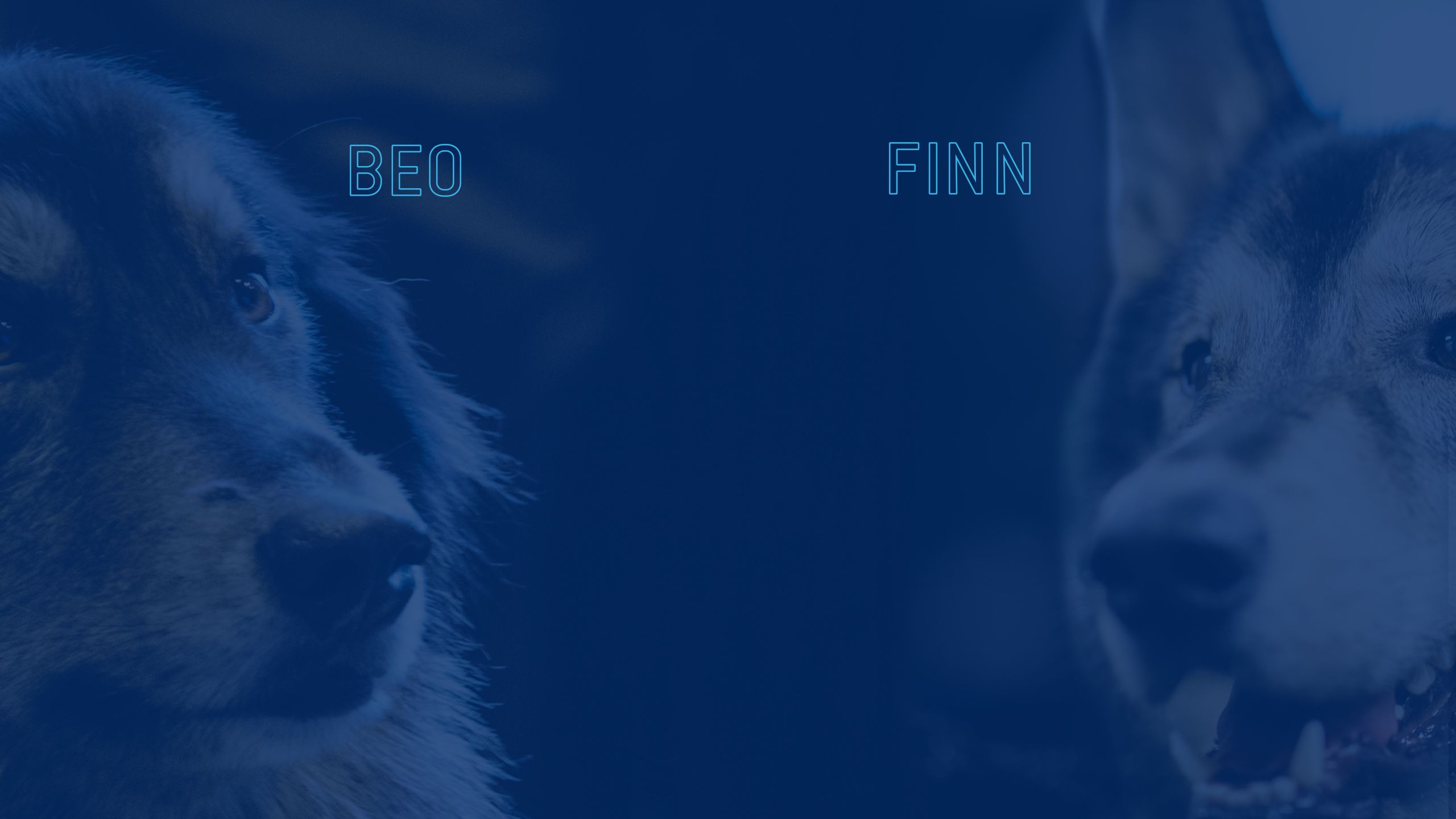 Portraits of Beowulf and Finn with their names